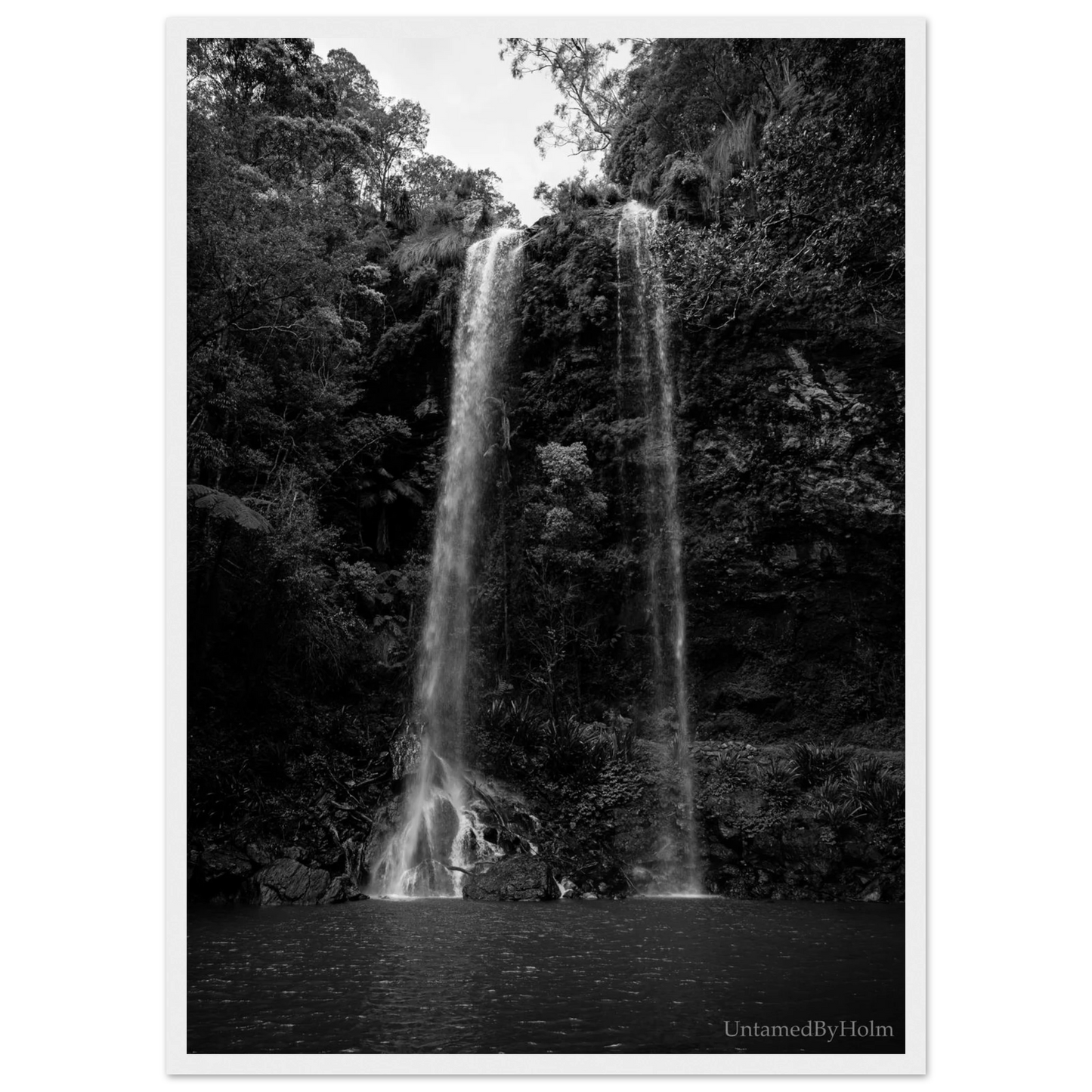 1c9c9d8f-bca0-40f2-bb5d-c17e59fbdf59