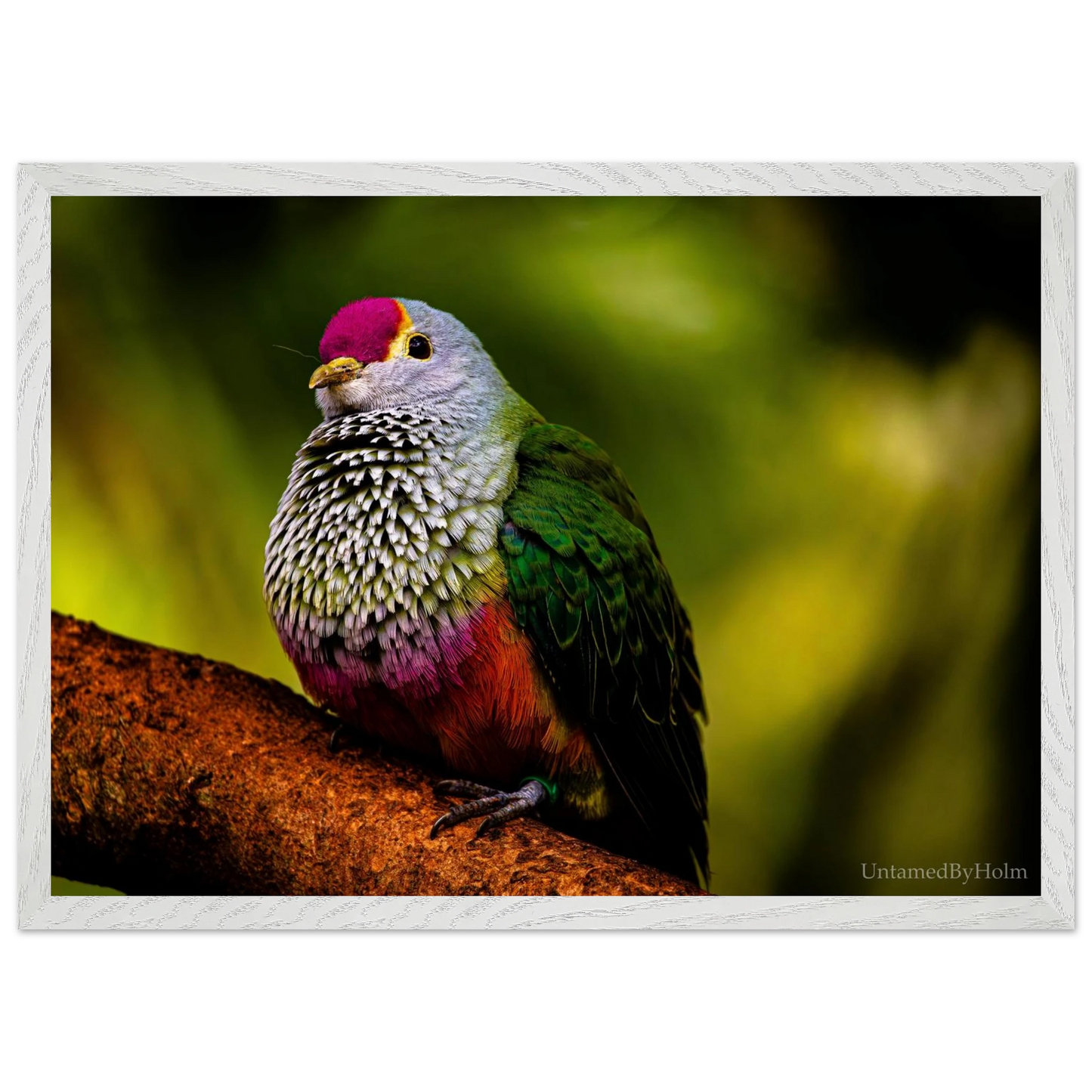 6c6ff916-06be-4988-953b-c6312a3d87ef