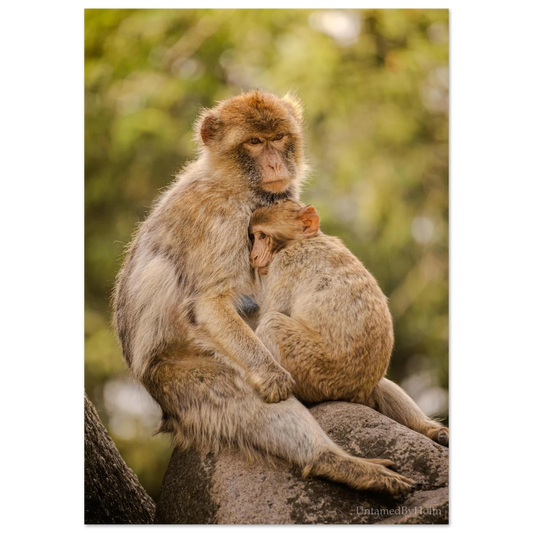 76a9f0ff-b3c2-49de-9e72-f39d0e574379