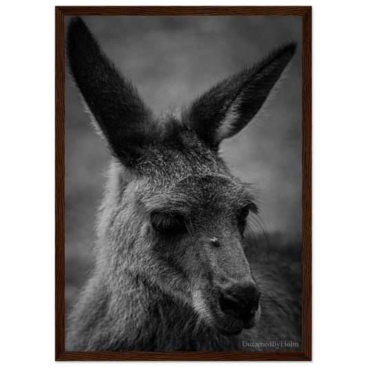 7a28bd74-9836-4108-b11d-7338667ac56f