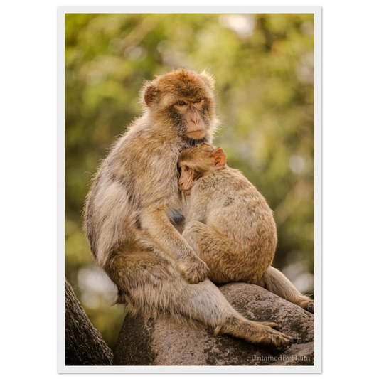 7cc52bda-e2a4-424b-b193-5cbdab7dea11