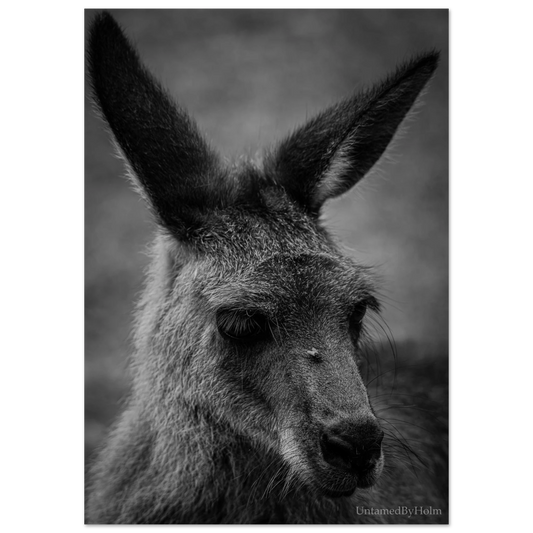 d12b1ca2-0daf-4466-96ba-74e716905839